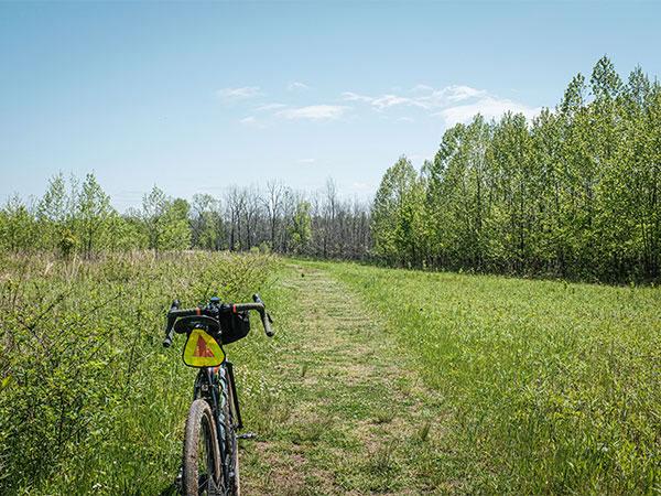 Surly Straggler propped up in grassy field pointed down slightly bedded in trail on clear day