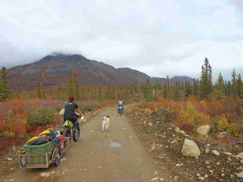 Rear view of a cyclist riding down a gravel road on a bike with a trailer of gear, with trees and a mountain ahead