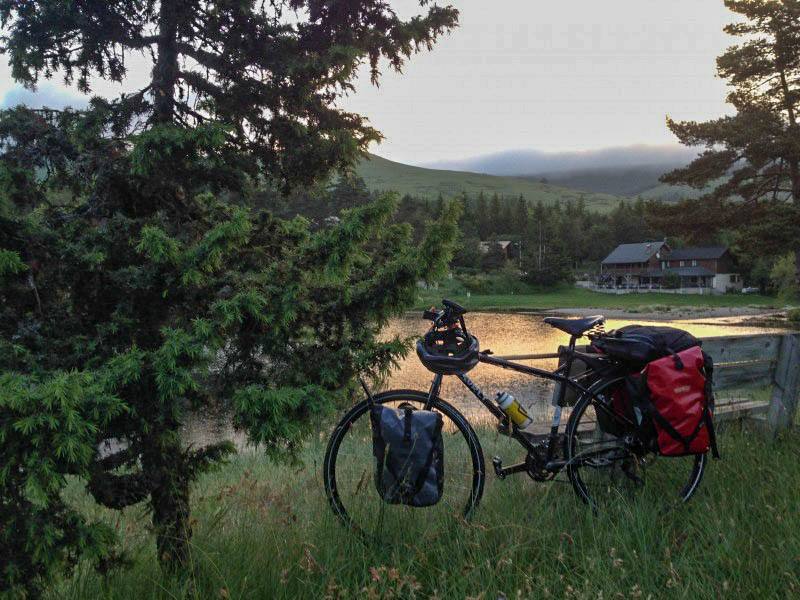 Left side view of a Surly bike, standing in tall grass, with trees, a house a and mountain in the background