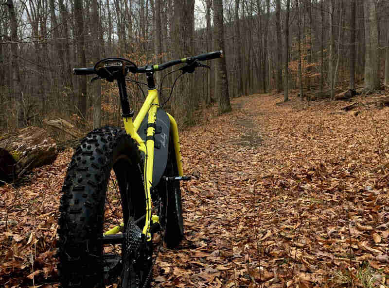 Rear view of a yellow Surly fat bike facing up a leaf cover trail in the woods