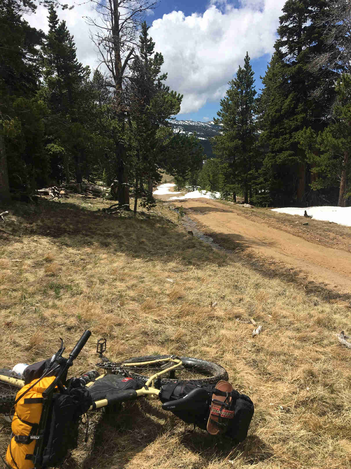 Surly ECR bike laying on the grass on the side of a gravel road, with pine trees and mountains in the background