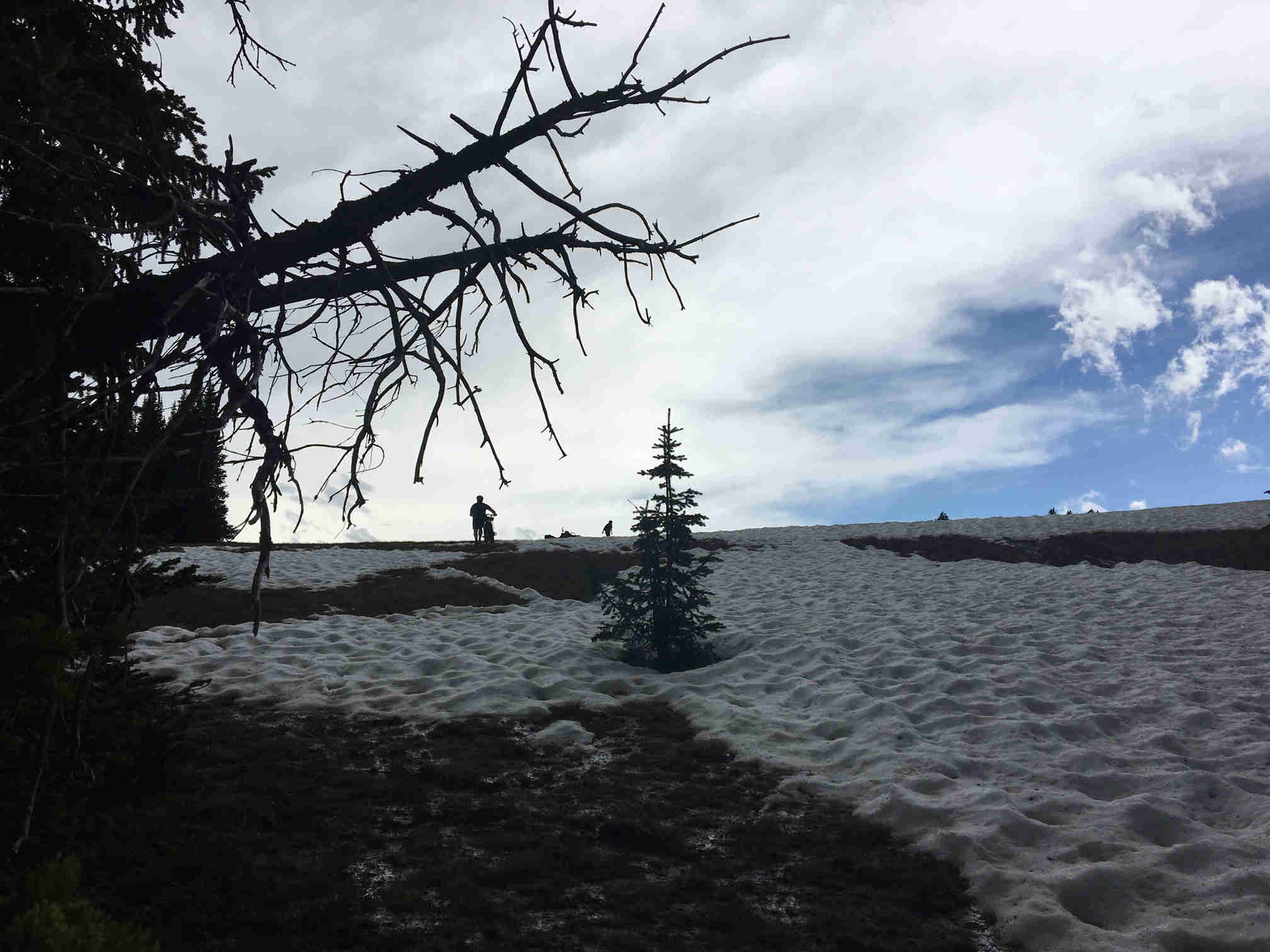 Front view of a cyclist in the distance, riding down a snowy hill