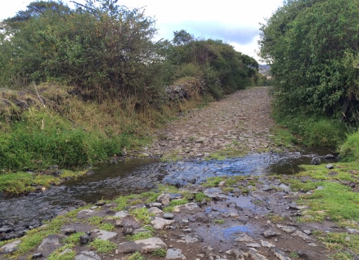 A rocky road with stream flowing over,  with trees on the sides in the background